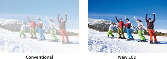 Wide Viewing Angle LCD