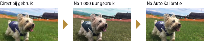 Auto Kalibratie Functie