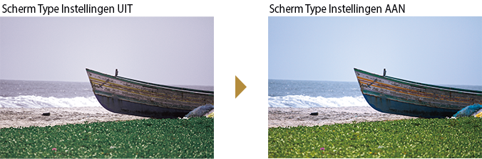 Scherm Type Instelling